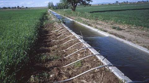 Gujarat Offers Electricity or Payment to Secure Water for Rabi Season