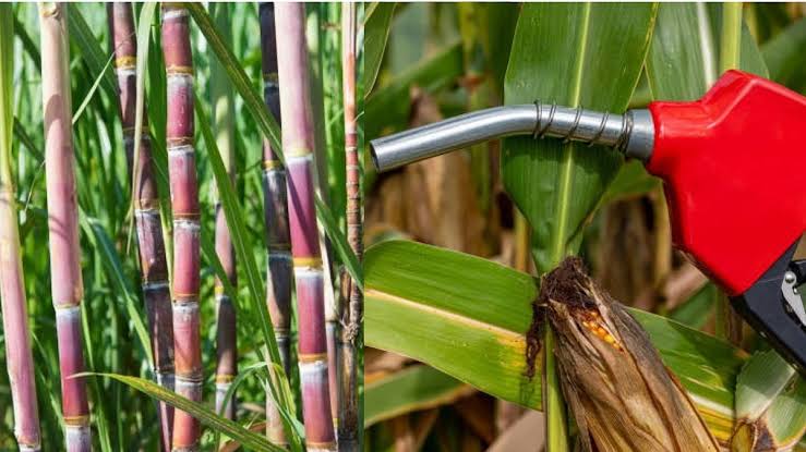 Sugar Stocks Fall After Ethanol Tender Excludes Cane Feedstocks